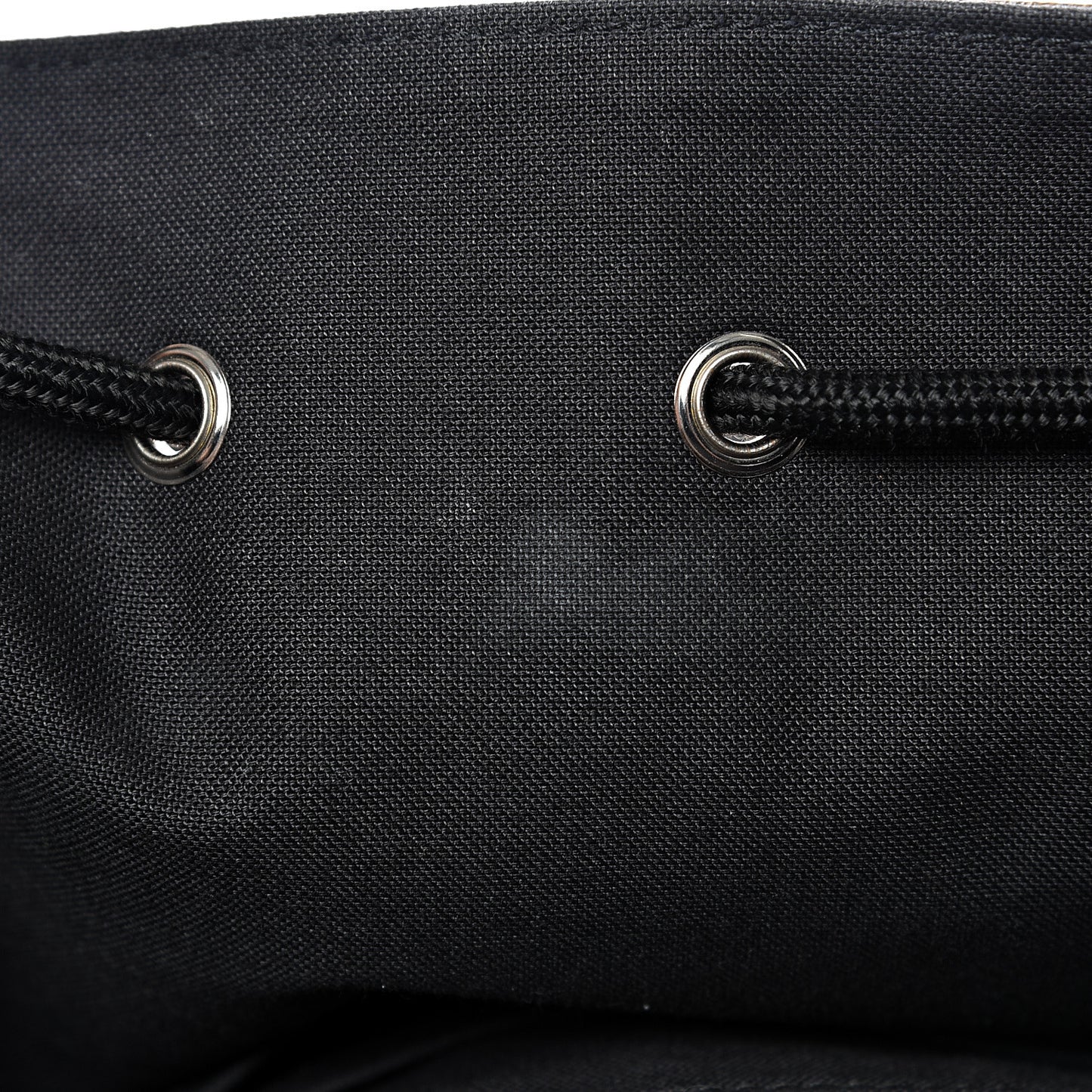 Monogram Macassar Christopher PM Backpack