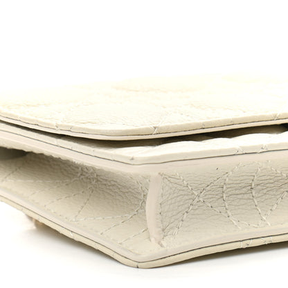 Christian Dior Supple Calfskin Caro Belt Bag Latte 9 of 12
