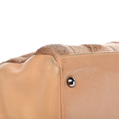 Chanel Lambskin Pony Hair Shoulder Bag Beige 14 of 20