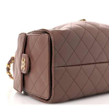 Chanel Caviar Quilted Small Chanel 25 Handbag Brown 10 of 11