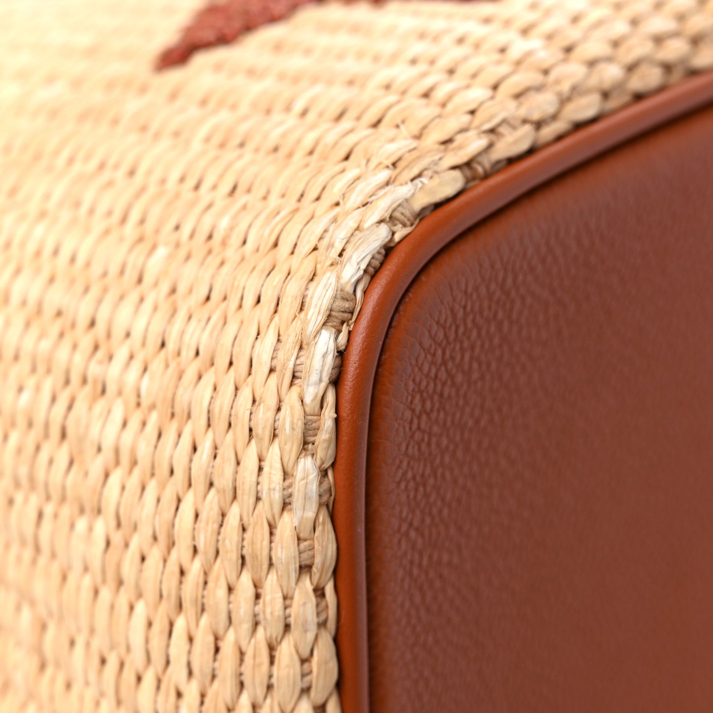 Raffia Calfskin Monogram Neonoe MM Tan