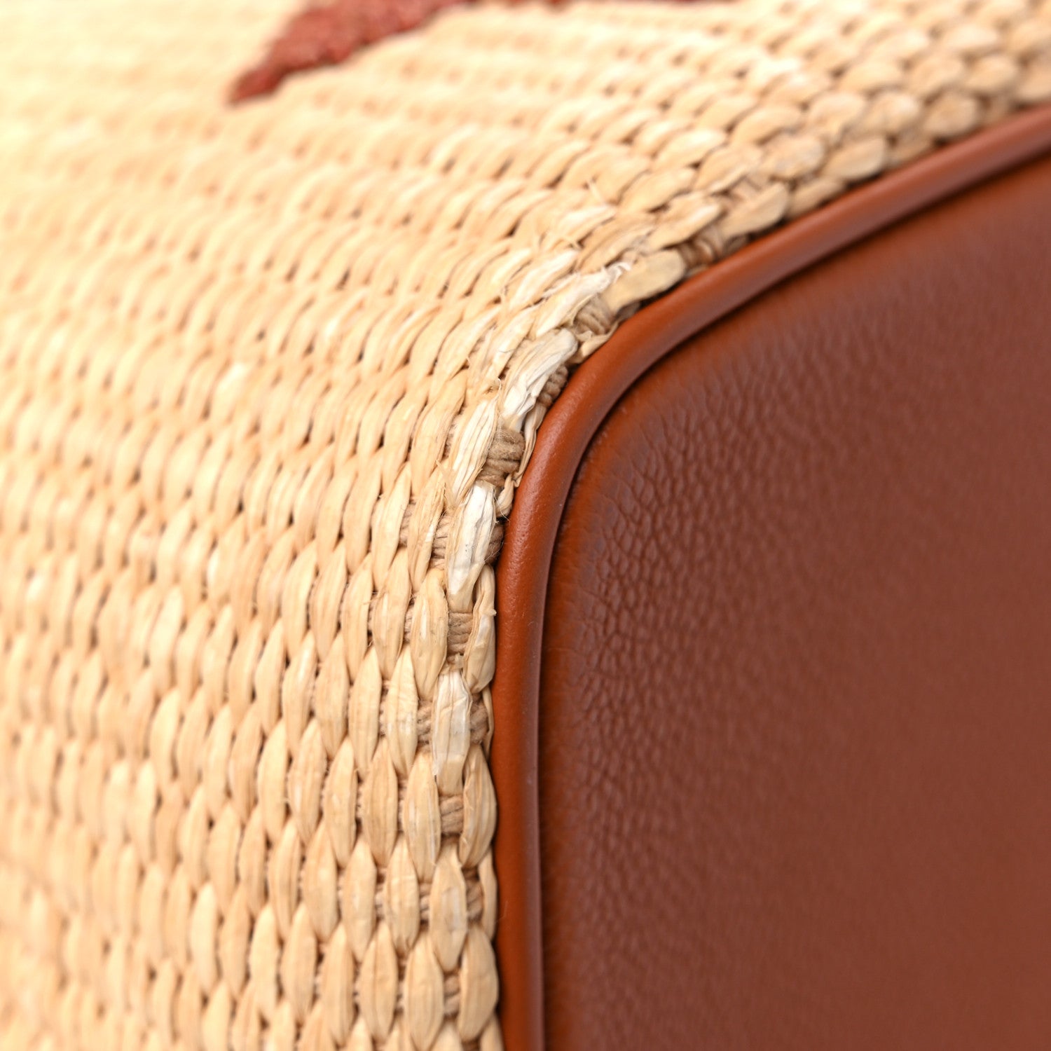 Louis Vuitton Raffia Calfskin Monogram Neonoe MM Tan 10 of 10