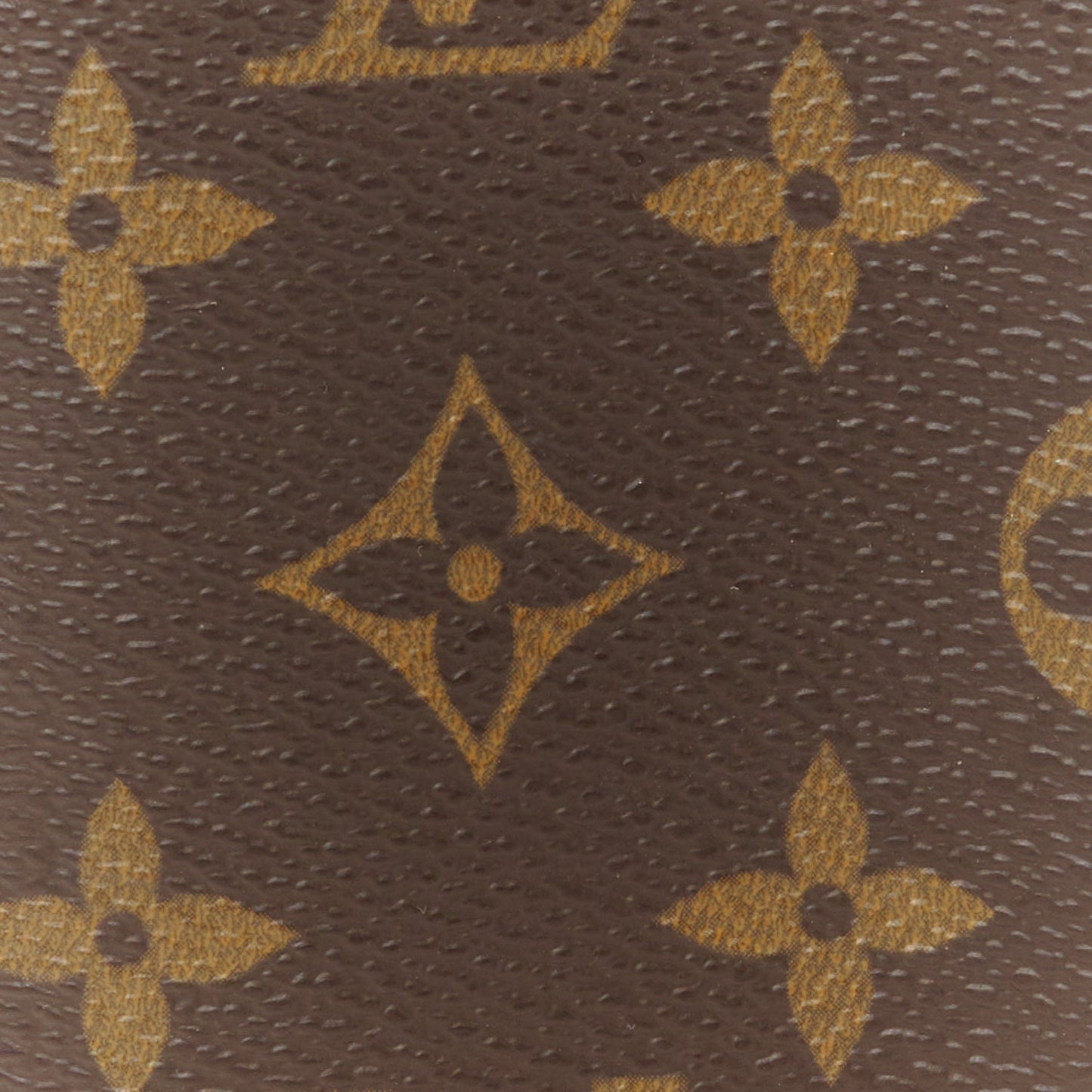 Monogram Sunglasses Case