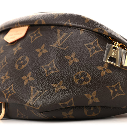 Louis Vuitton Monogram Bumbag 9 of 9
