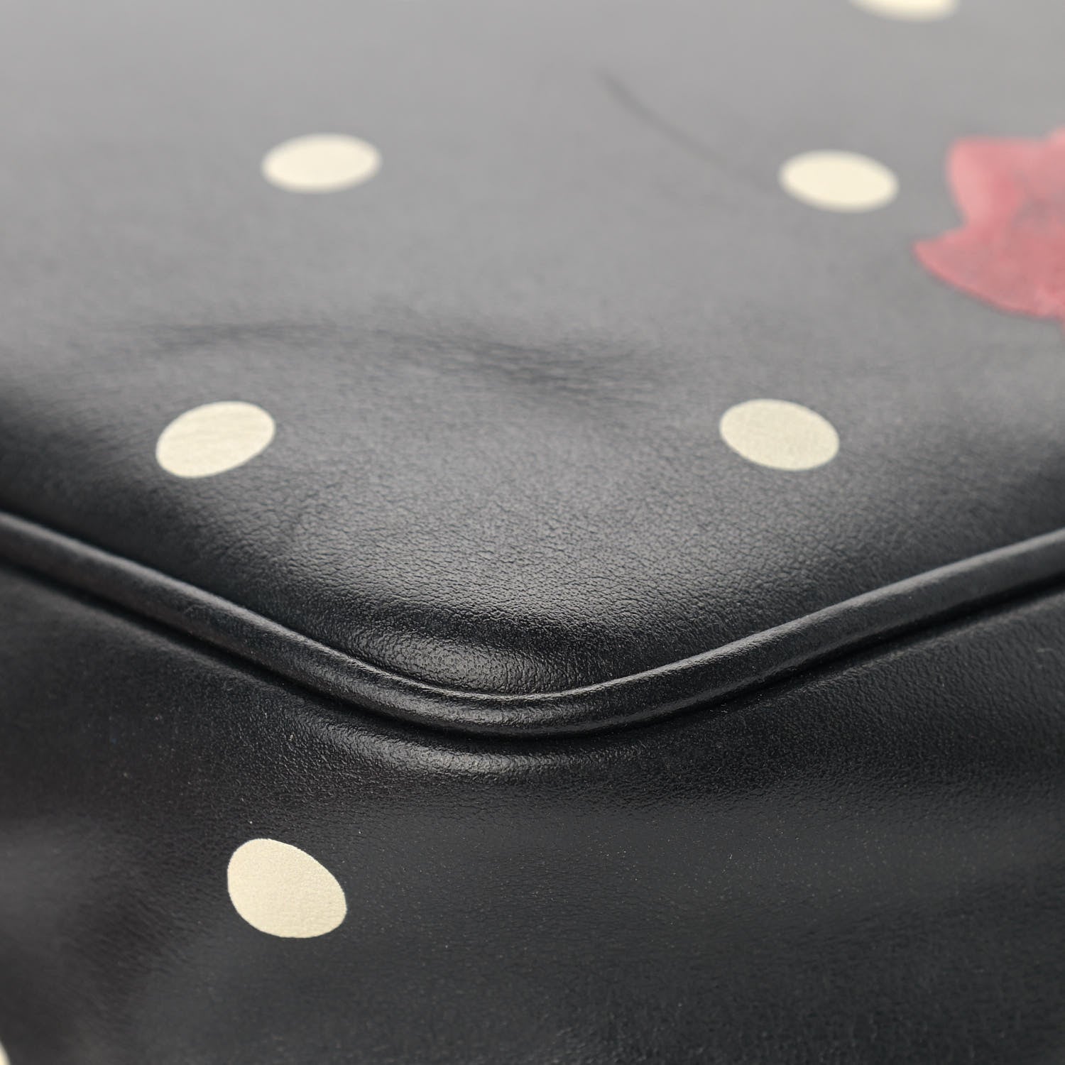 Saint Laurent Calfskin Rose Print Monogram Lou Camera Bag Black 11 of 14