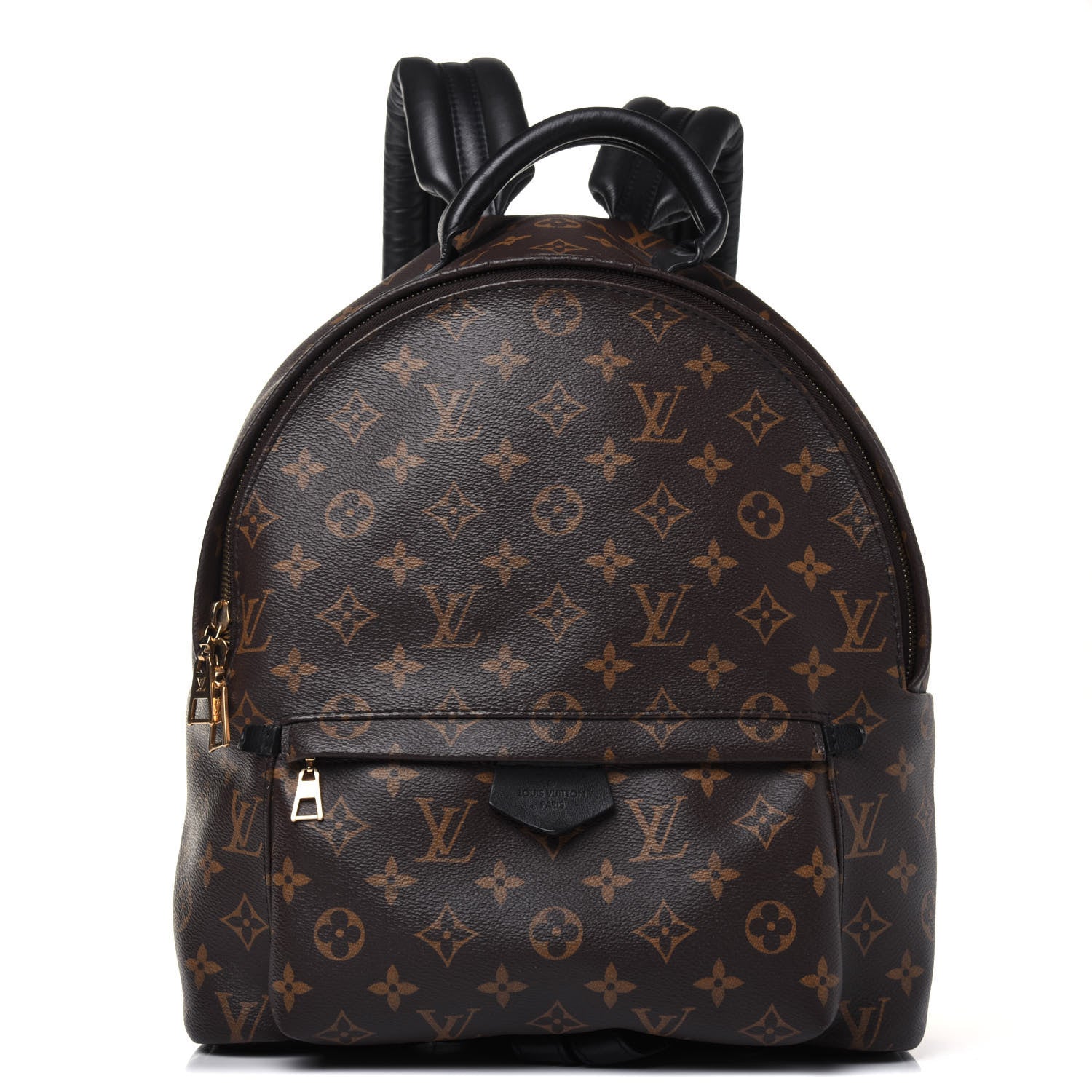 Louis Vuitton Monogram Palm Springs Backpack MM 1 of 14