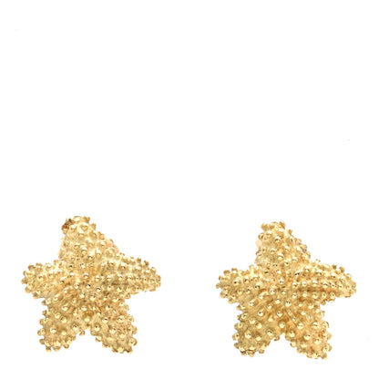 Tiffany 18K Yellow Gold Elsa Peretti Textured Starfish Earrings 1 of 4