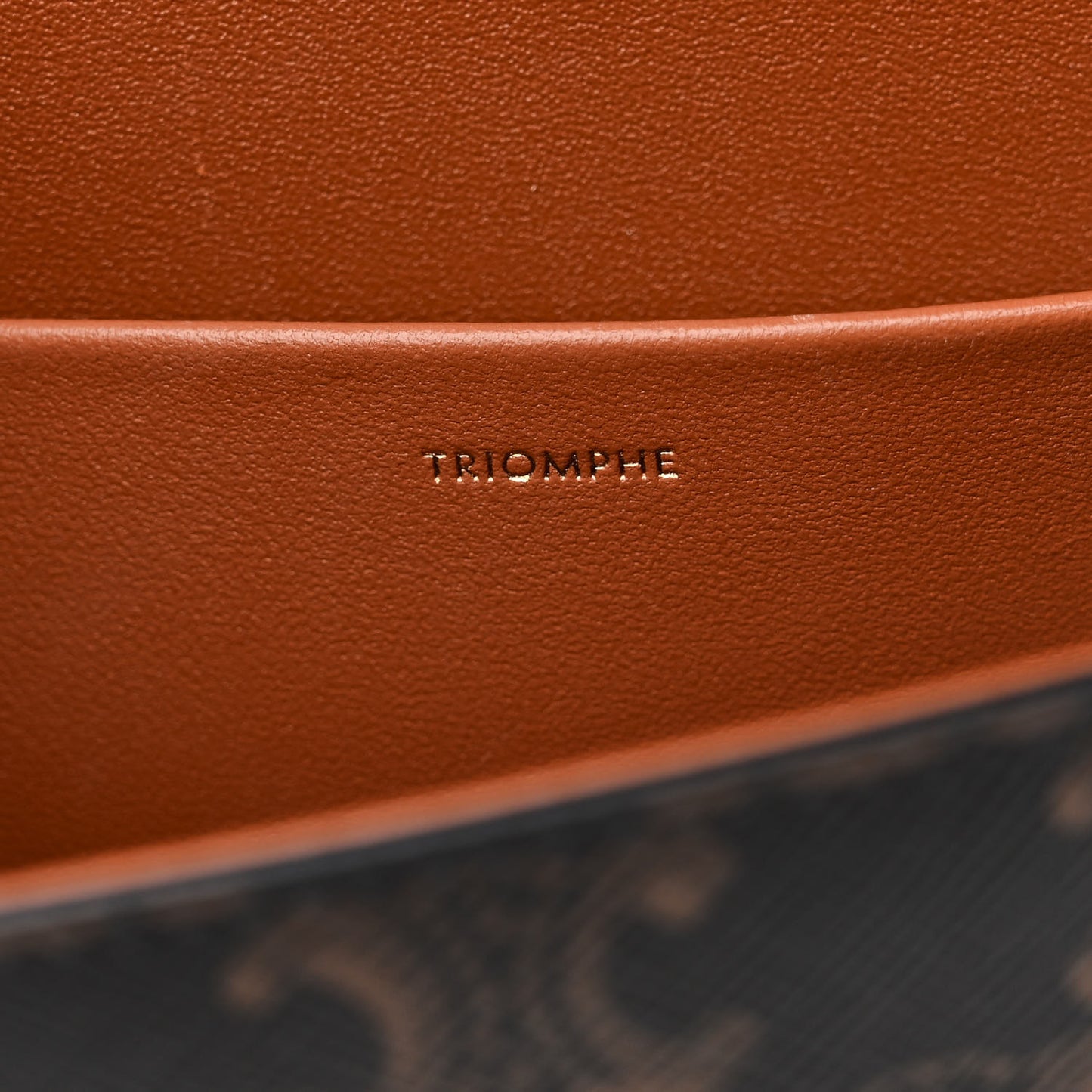 Triomphe Canvas Calfskin Ava Shoulder Bag Tan