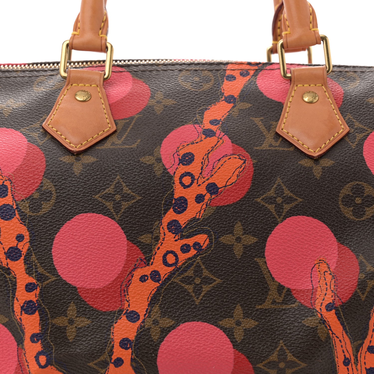 Louis Vuitton Monogram Ramages Speedy 30 Grenade 8 of 12