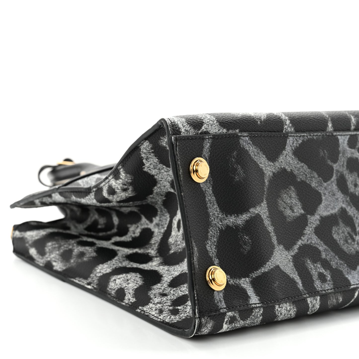 Canvas Calfskin Wild Animal Print City Steamer MM Black