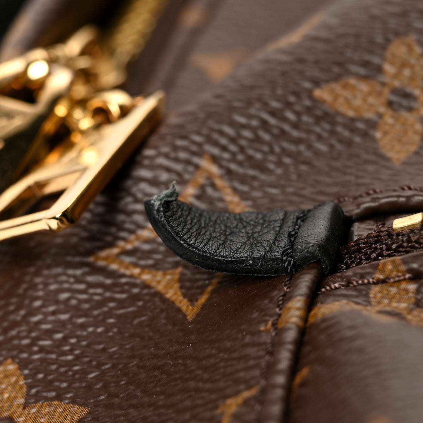 Monogram Palm Springs Backpack MM