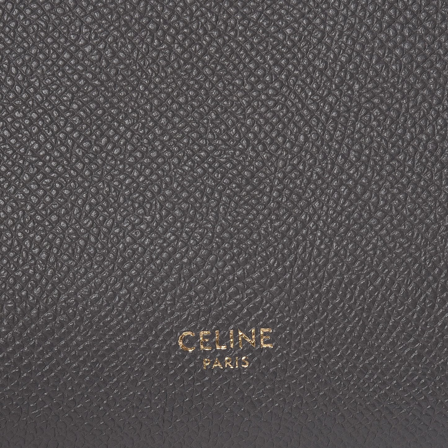 Grained Calfskin Nano Belt Bag Grey