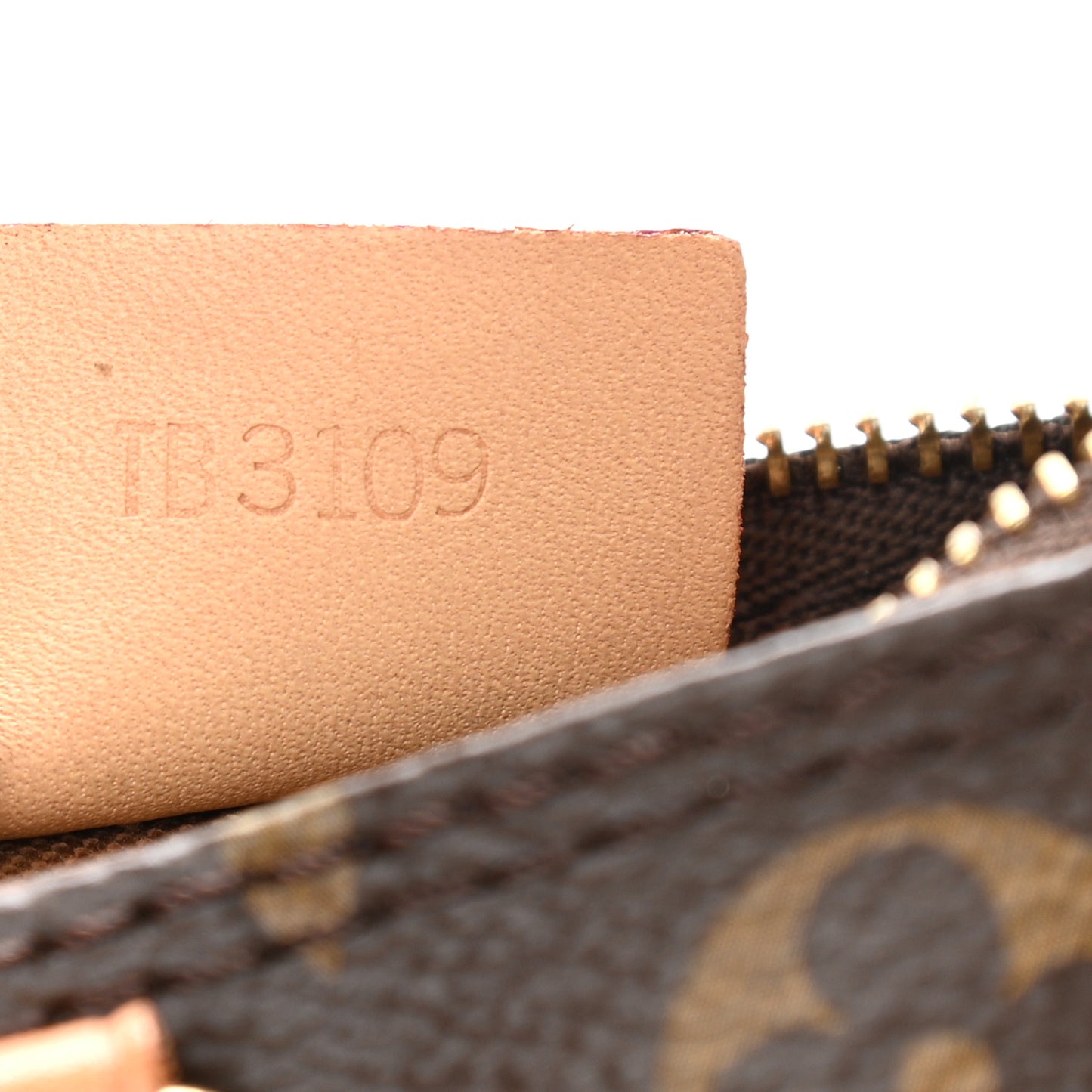 Monogram Nano Speedy