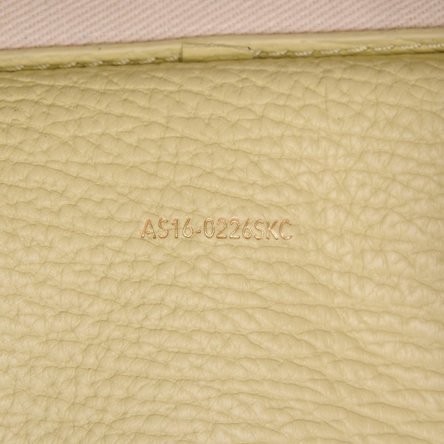 3.1 Textured Calfskin Mini Pashli Satchel Citron