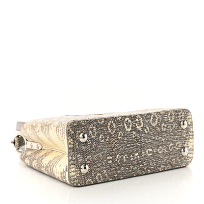Louis Vuitton Lizard Mini Capucines Argento 4 of 10