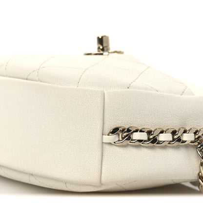 Chanel Goatskin Quilted Small Casual Trip Camera Case White 10 of 12