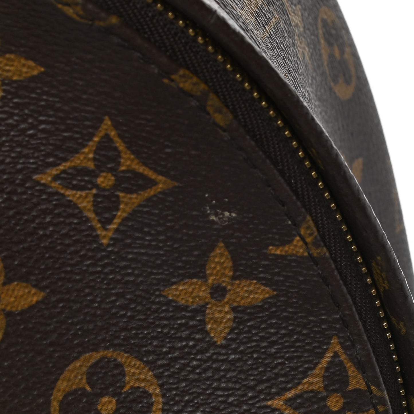 Monogram Palm Springs Backpack MM