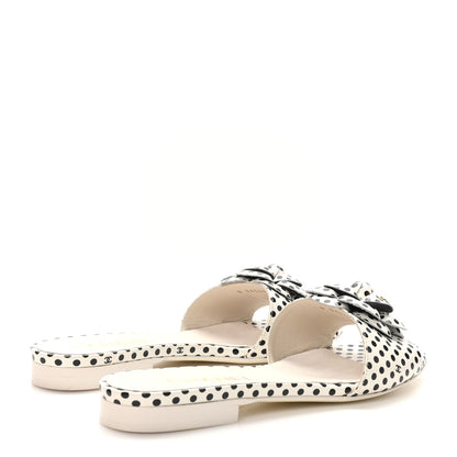 Chanel Calfskin Printed Camellia CC Slides 36 Ivory Black 5 of 10