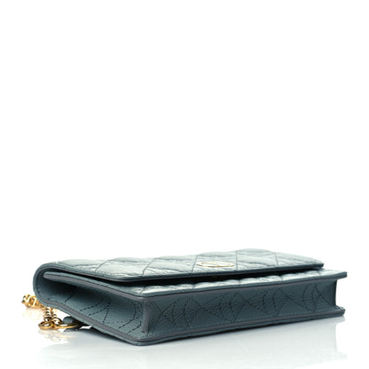 Christian Dior Supple Calfskin Caro Belt Bag Grey 4 of 10