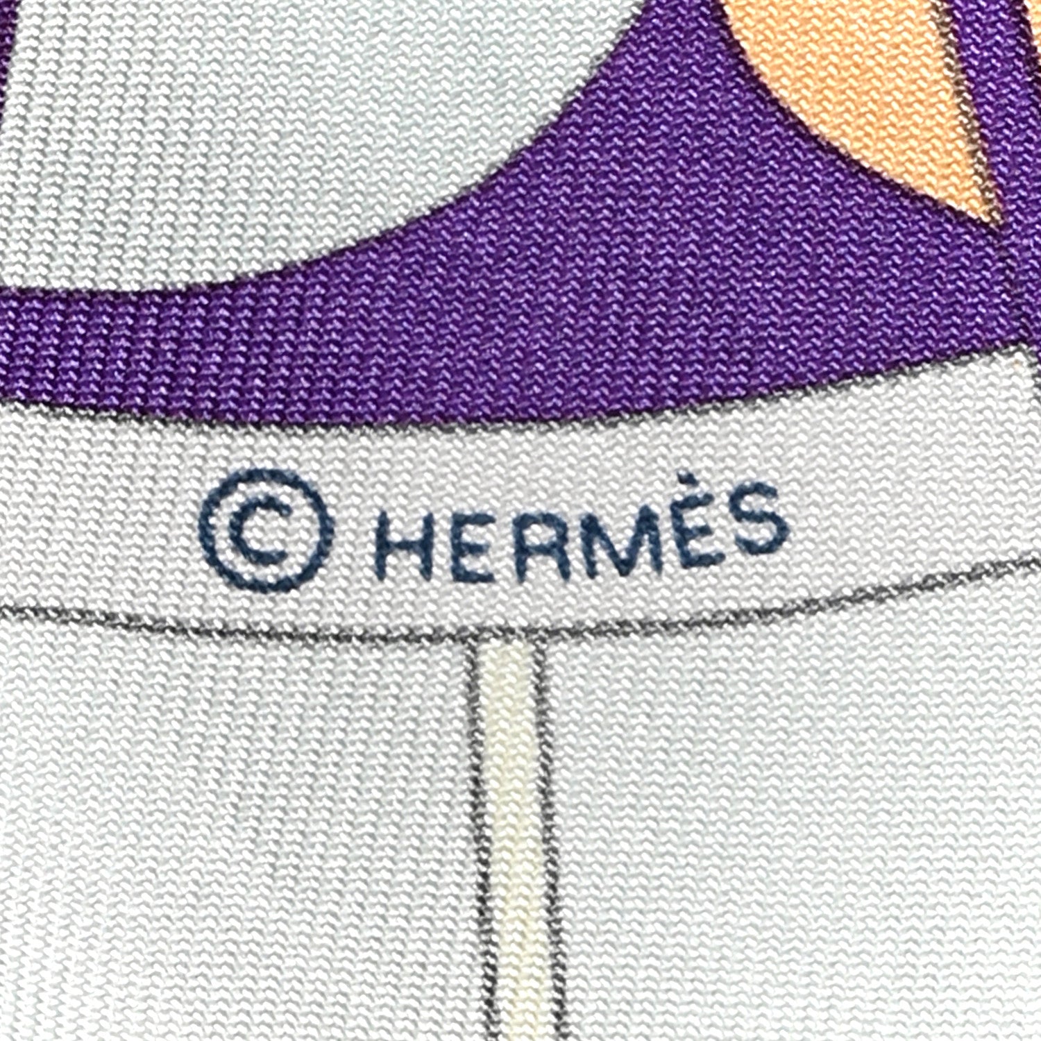 Hermes Silk Rose De Compass Twilly 4 of 4