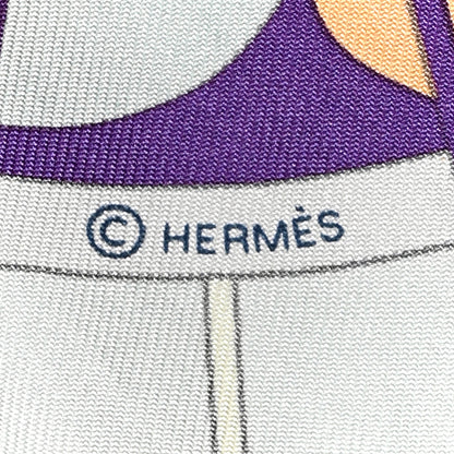 Hermes Silk Rose De Compass Twilly 4 of 4