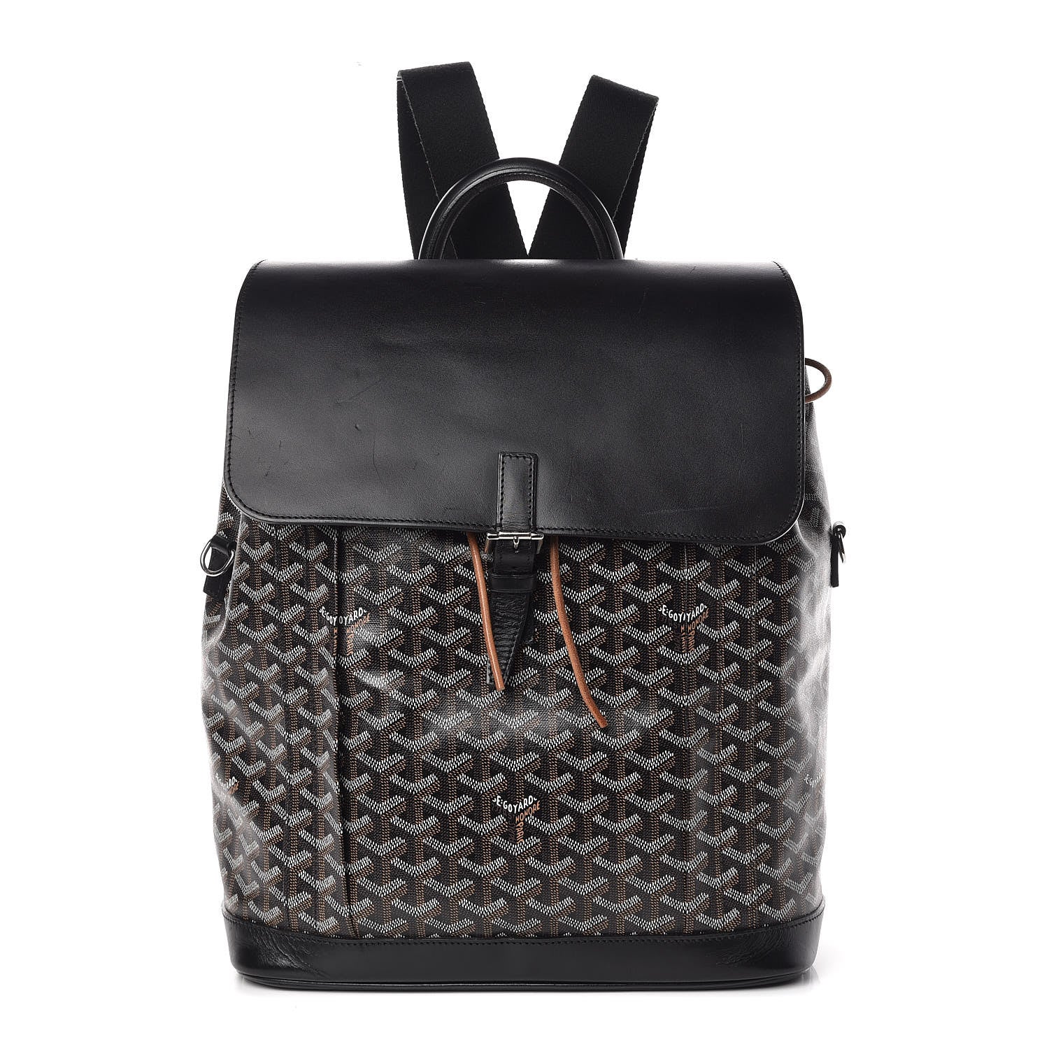 Goyard Goyardine Calfskin Alpin Backpack Black 1 of 9