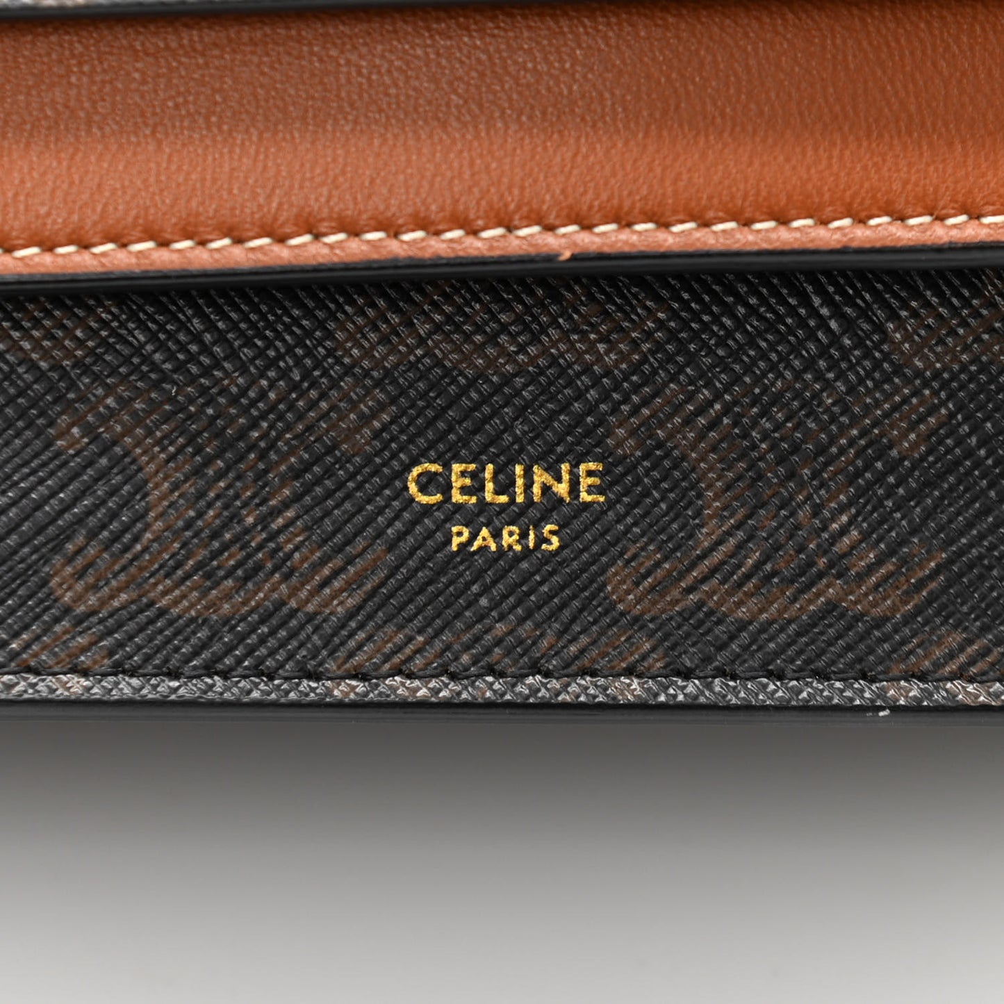 Triomphe Canvas Lambskin Wallet On Strap Tan