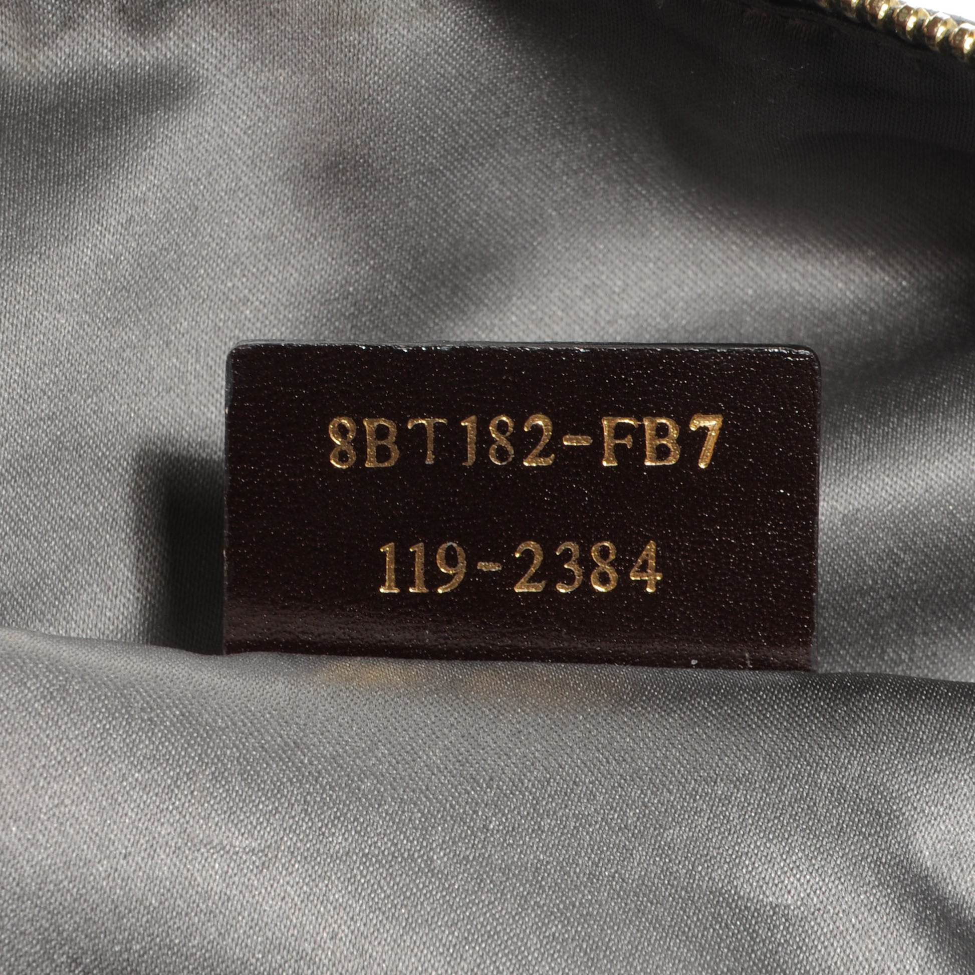 Fendi Vitello Savana Forever Crossbody Grigio Tartaruga Natural 7 of 8