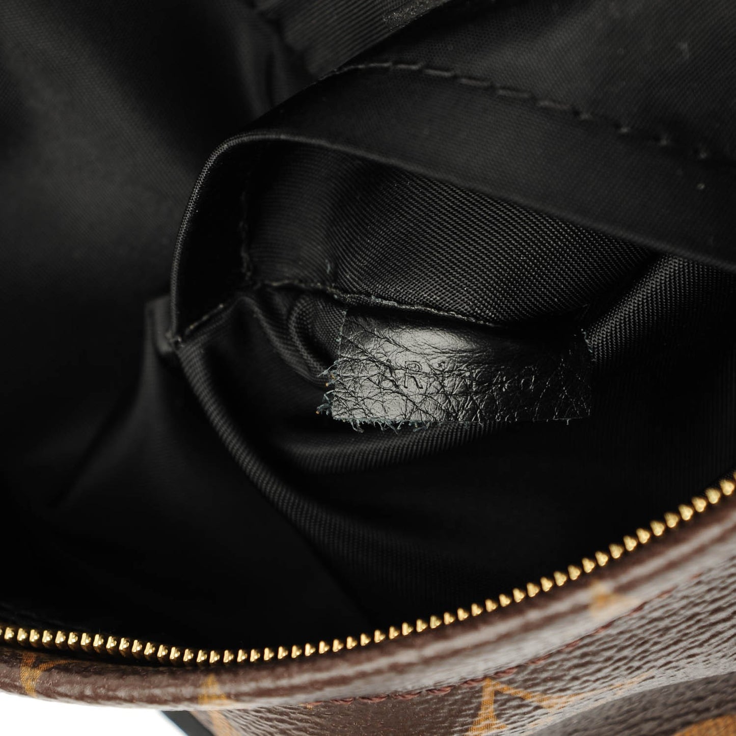 Monogram Palm Springs Backpack Mini