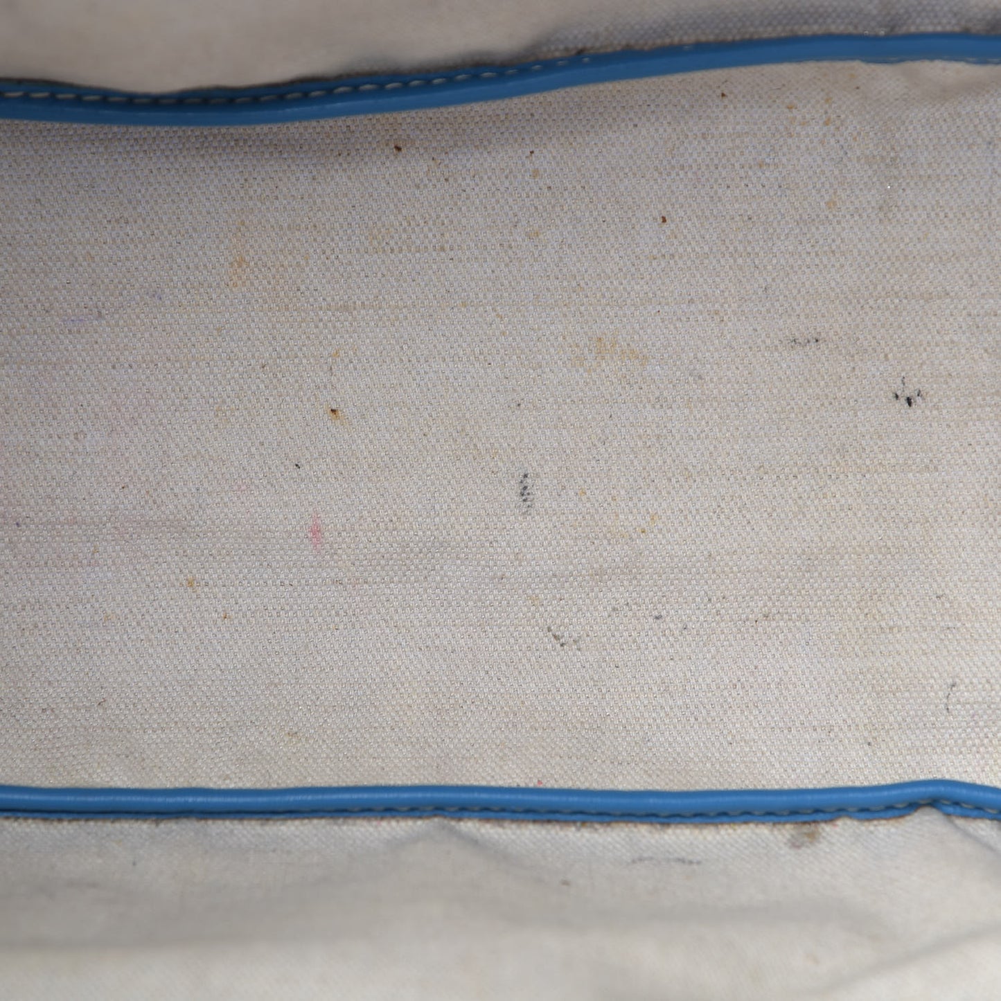 Goyardine Saint Louis PM Sky Blue