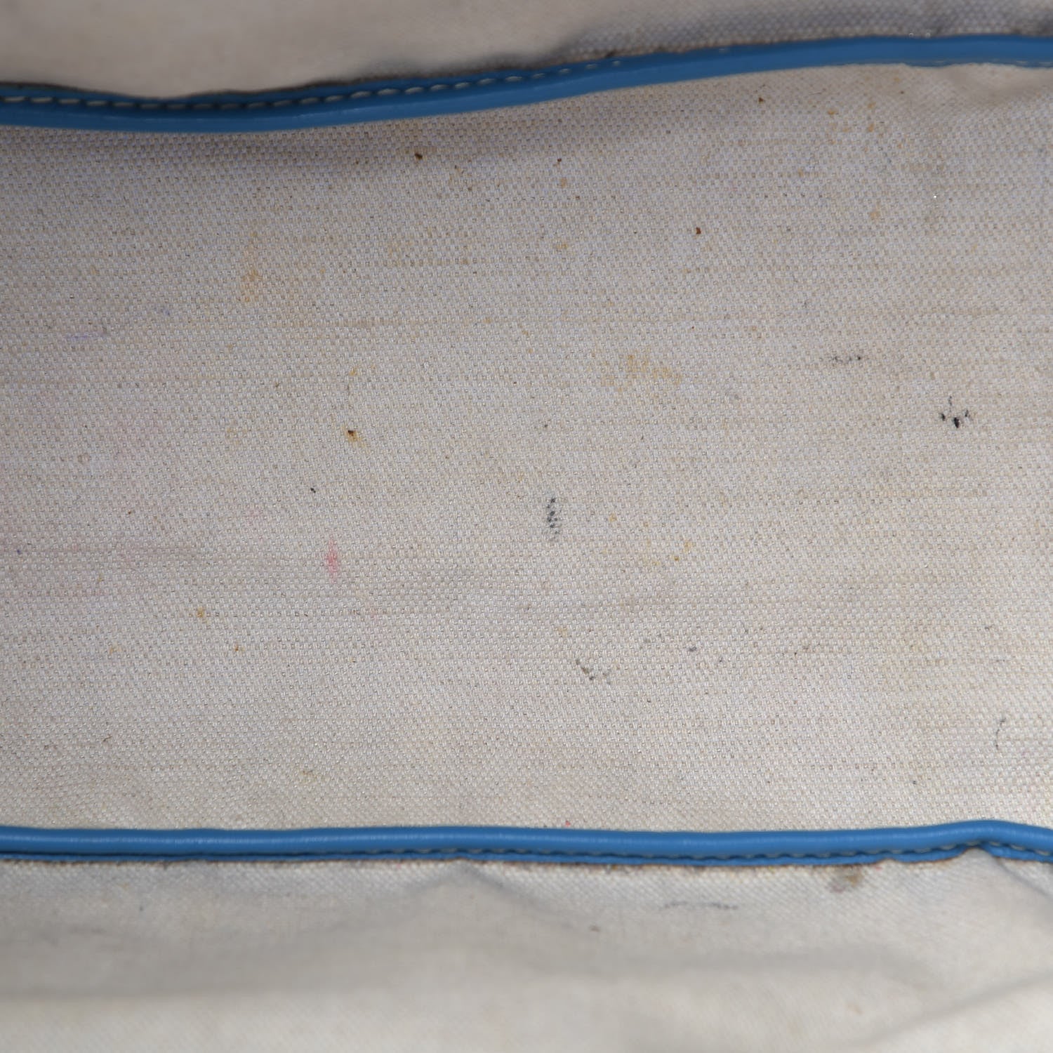 Goyard Goyardine Saint Louis PM Sky Blue 12 of 21