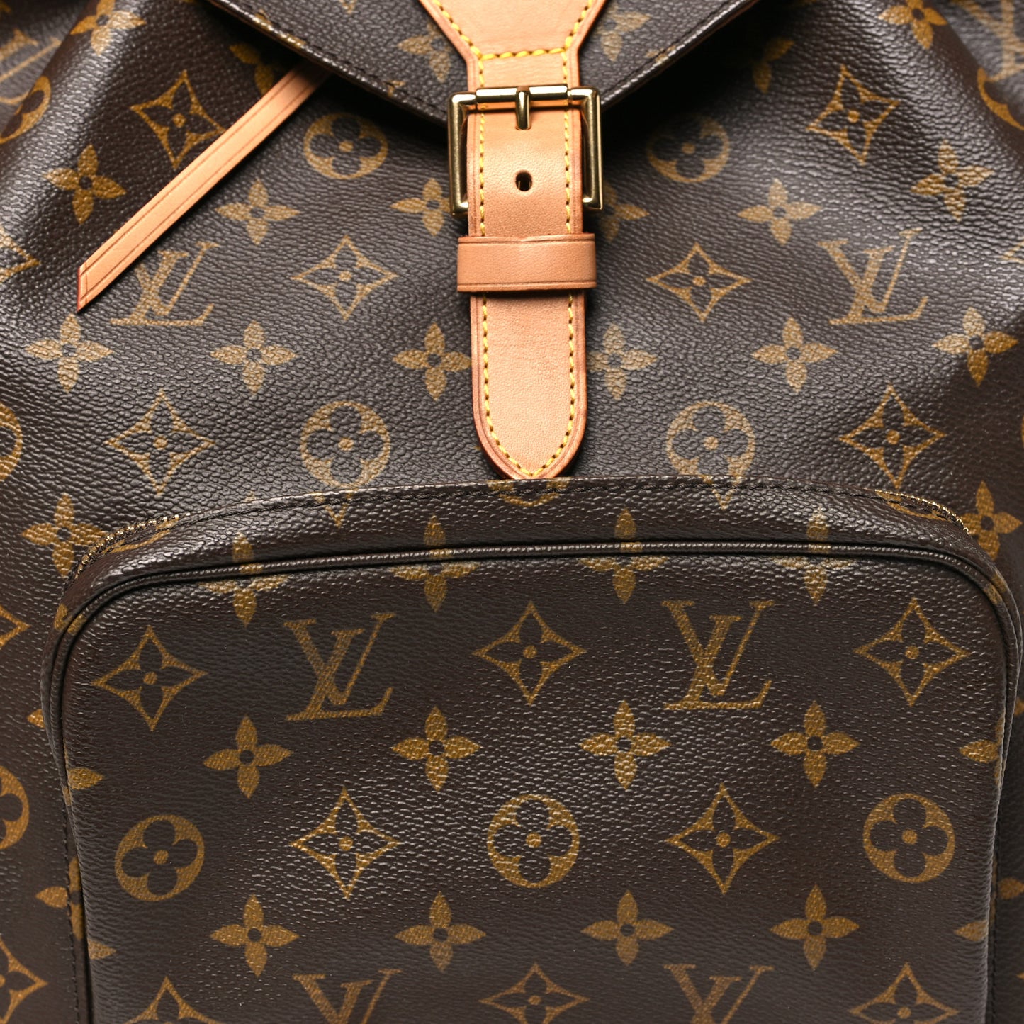 Monogram Montsouris GM Backpack
