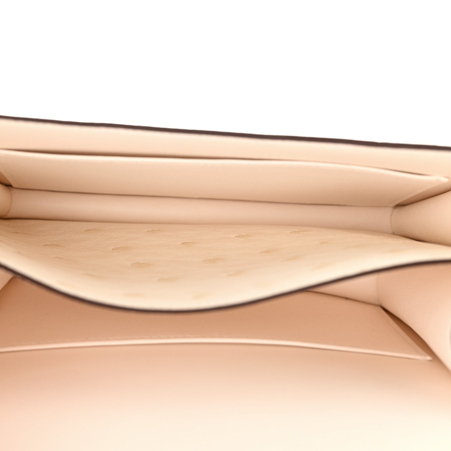 Ostrich Constance 18 Nata