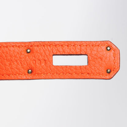 Hermes Togo Birkin 35 Feu 8 of 27