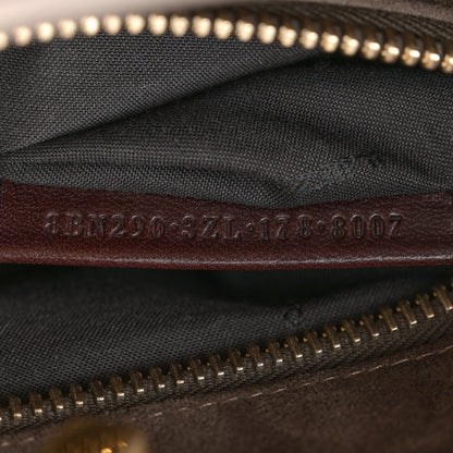 Fendi Vitello Seta Plexiglass Tortoise Medium Peekaboo Iconic Satchel Tortora 7 of 11