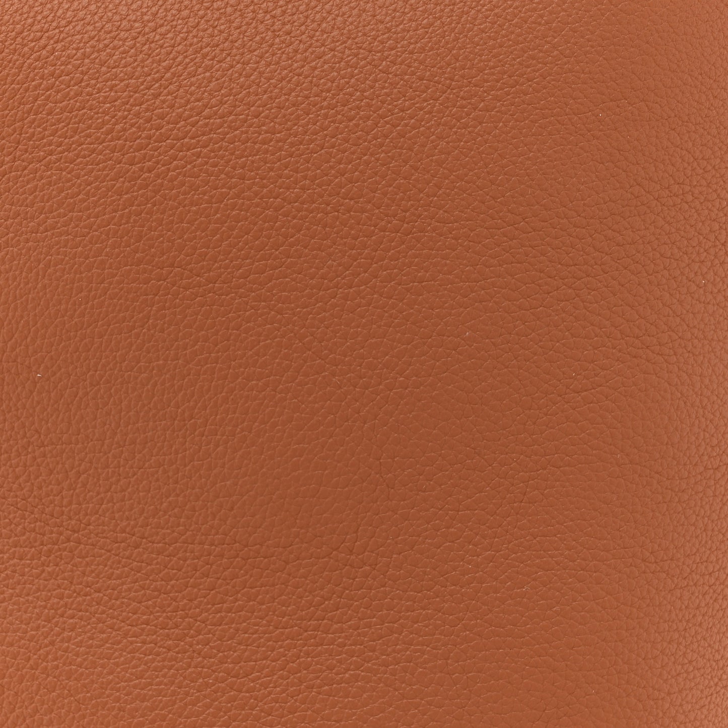 Grained Calfskin Low Key Hobo PM Cognac