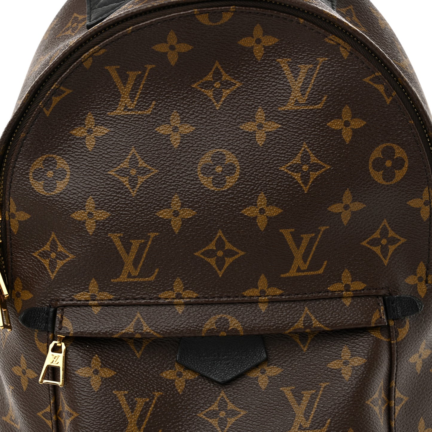 Monogram Palm Springs Backpack PM