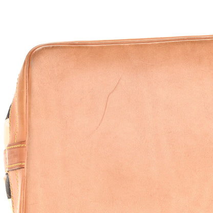 Louis Vuitton Monogram Rayures Noe 13 of 16