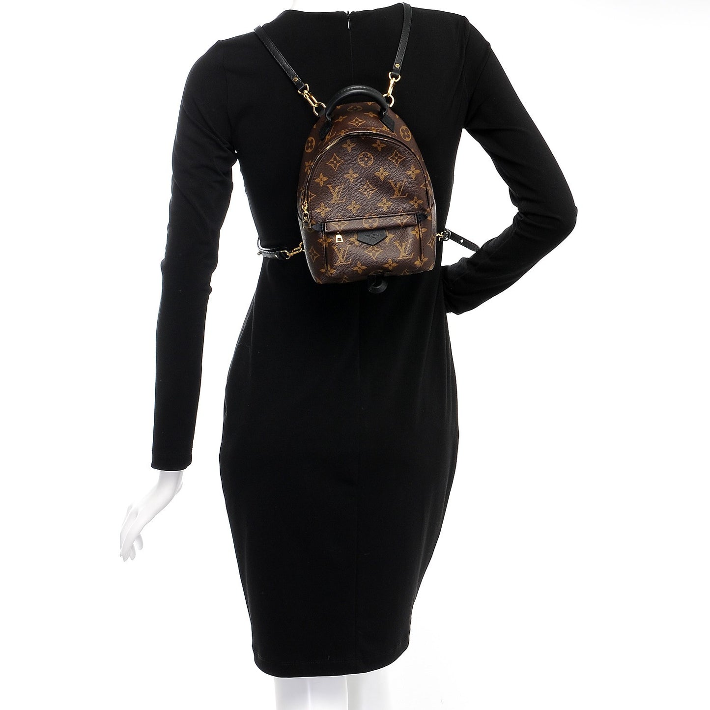 Monogram Palm Springs Backpack Mini