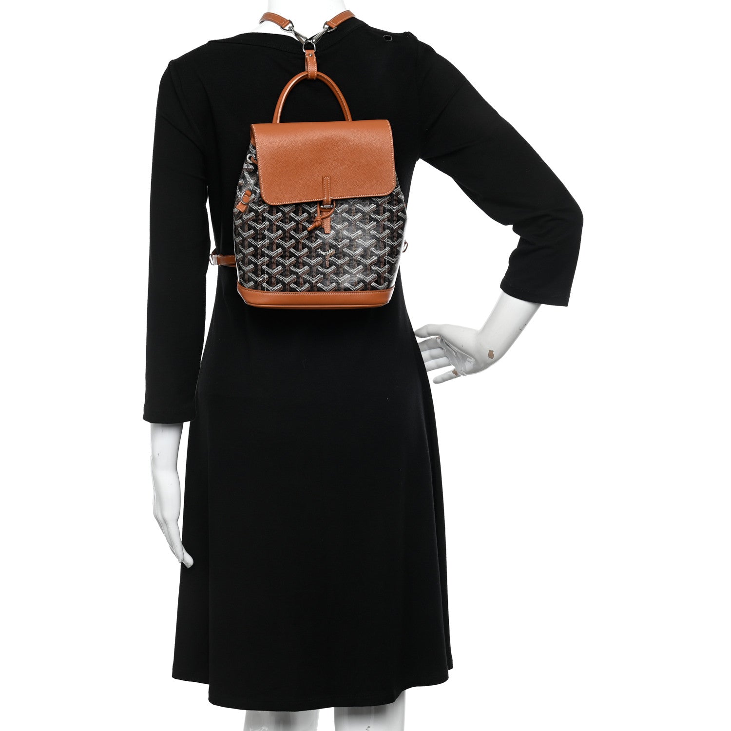 Goyard Goyardine Calfskin Mini Alpin Backpack Black Gold 2 of 9