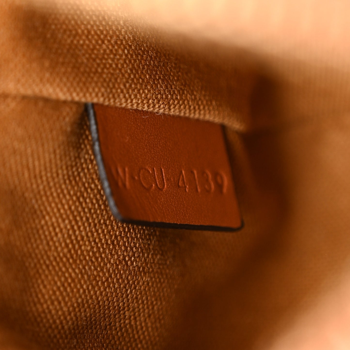 Triomphe Canvas Small Camera Bag Tan