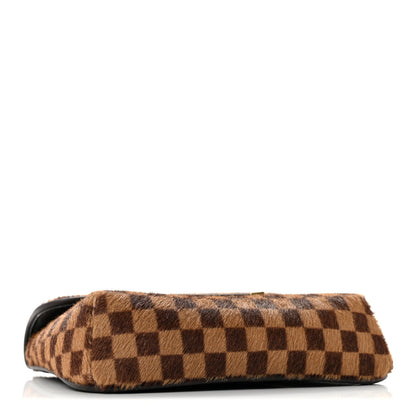 Louis Vuitton Damier Sauvage Gazelle Pochette 3 of 12