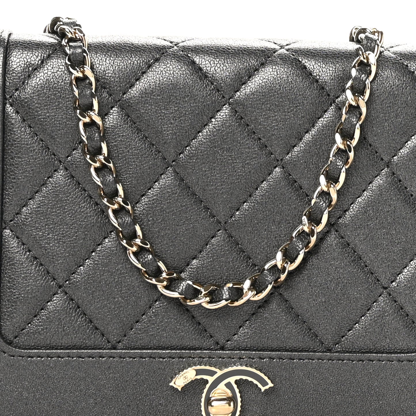 Sheepskin Quilted Mademoiselle Vintage Wallet On Chain WOC Ruthenium
