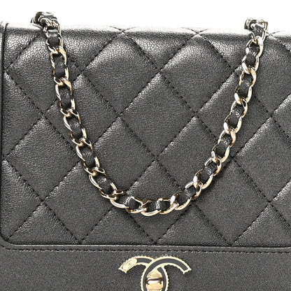 Chanel Sheepskin Quilted Mademoiselle Vintage Wallet On Chain WOC Ruthenium 9 of 12