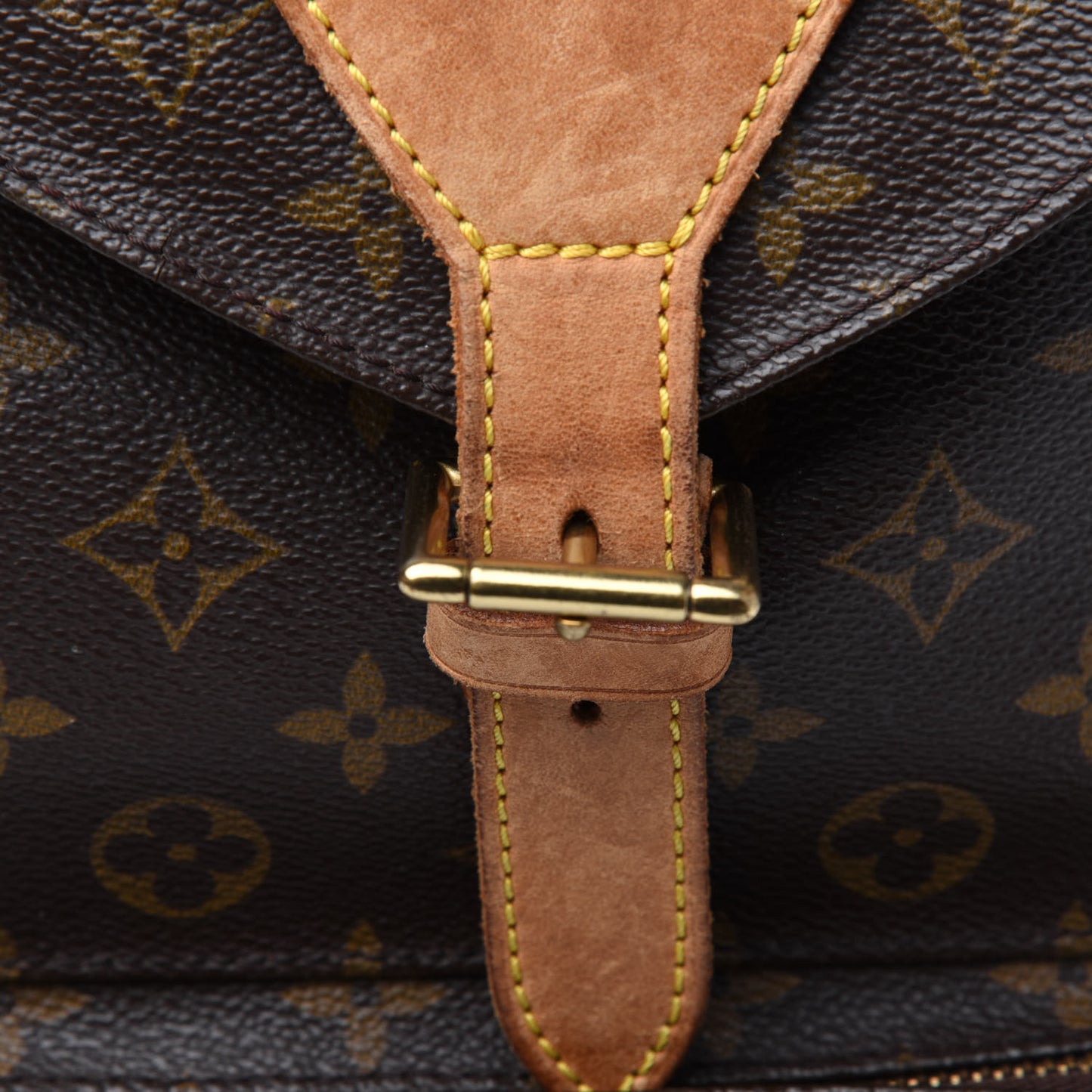 Monogram Montsouris GM Backpack
