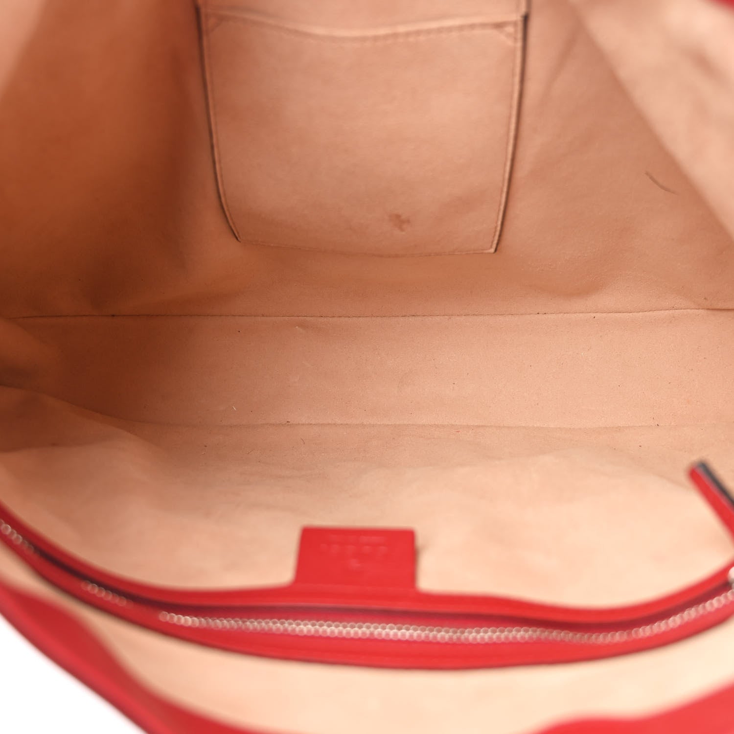 Gucci Calfskin Web Embroidered Medium Dionysus Hobo Hibiscus Red 5 of 14