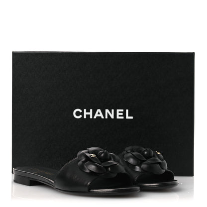 Chanel Lambskin Camellia Sandal Mules 37.5 Black 11 of 11
