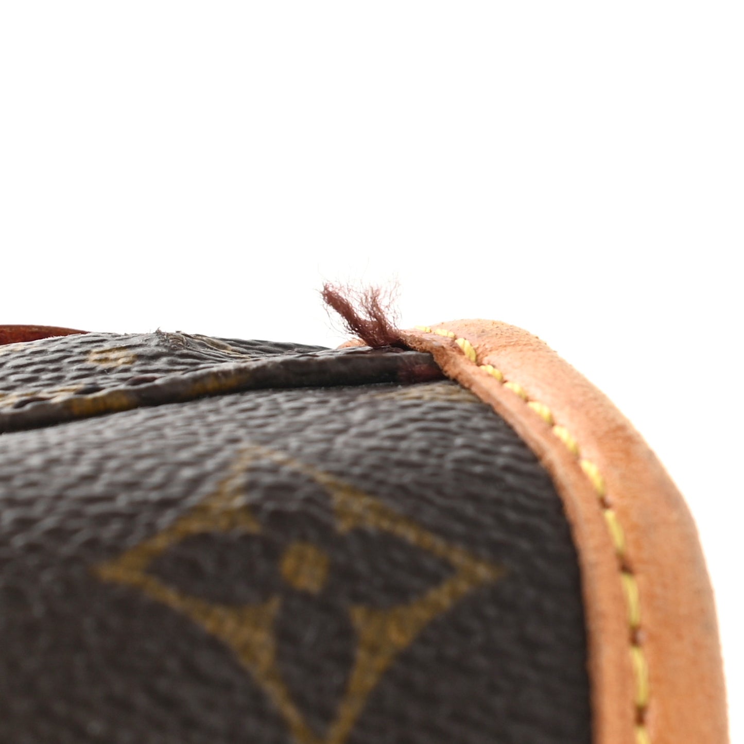 Monogram Garment Bag