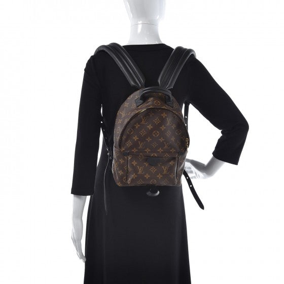 Louis Vuitton Monogram Palm Springs Backpack PM 2 of 7