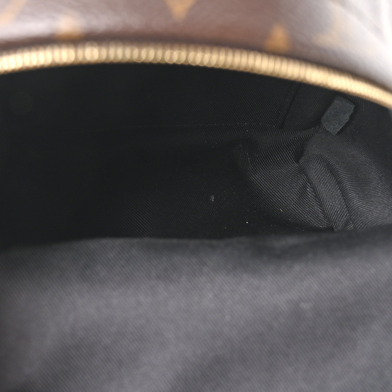Louis Vuitton Monogram Palm Springs Backpack Mini 5 of 10